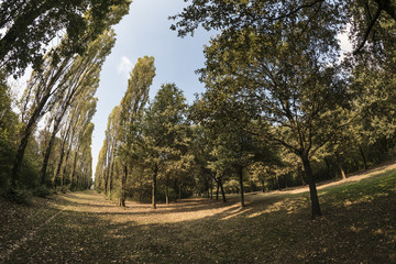 Milan (Italy): Parco Nord at fall