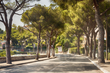The street in San Remo - downtown, Italy