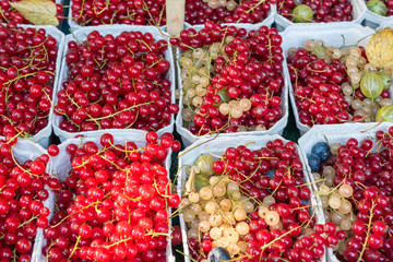 Red currant berries for sale at a market in Berlin