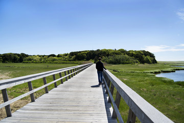 Fototapeta na wymiar man walking along boardwalk over salt water marsh on Cape Cod