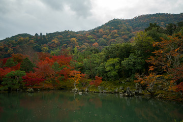 Tenryuji temple autumn scene,Kyoto,tourism of Japan