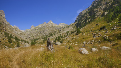 Fototapeta na wymiar Montains of the estrop, the park of Mercantour, department of the Alpes-Maritimes, France