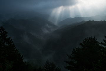 Nosegawa foggy mountain,Nara,Japan