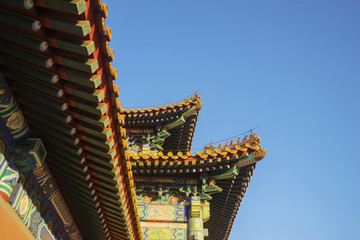 Fototapeta na wymiar Imperial roof decoration in Forbidden City