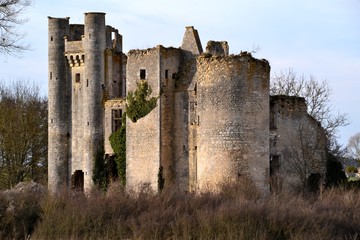 Fototapeta na wymiar Château de Passy les tours 