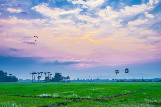Paramotor flying on the sky and Sunrise in the countryside