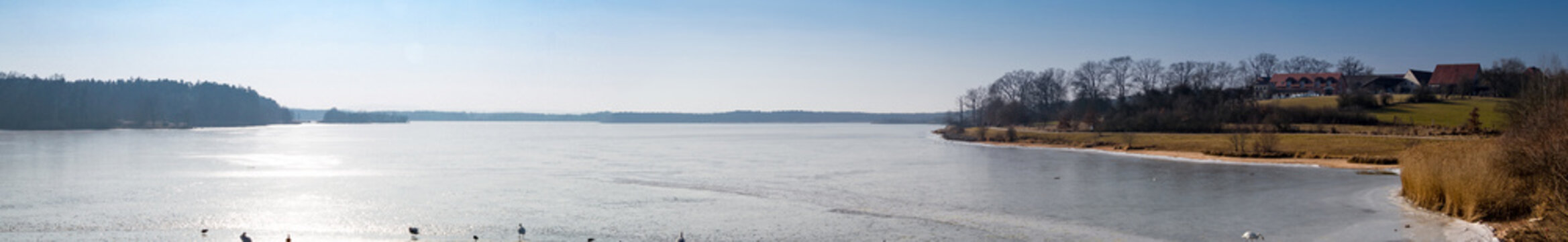 See Panorama