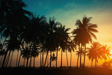 Obraz na płótnie Canvas Silhouette coconut palm trees on beach at sunset. Vintage tone.
