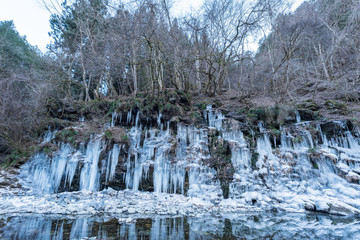 三十槌の氷柱