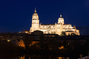 Obraz premium Salamanca Cathedral in night