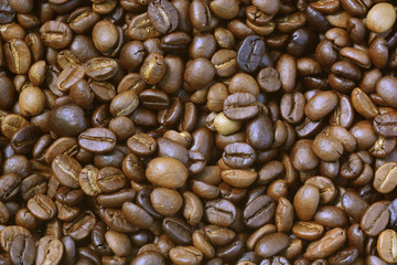 roasted arabica coffee beans