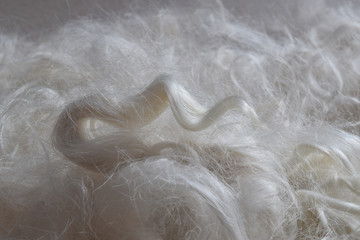 This is a pile of soft freshly cleaned fiber from a suri alpaca ready to be spun into yarn. A...