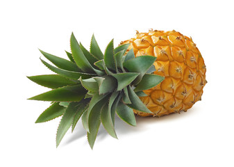 Lying pineapple isolated on white background