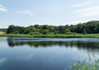 Fototapeta na wymiar Landscape reflection in a lake