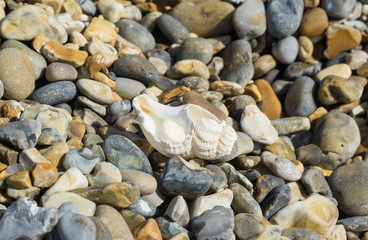 Rocks on the beech in Norfolk