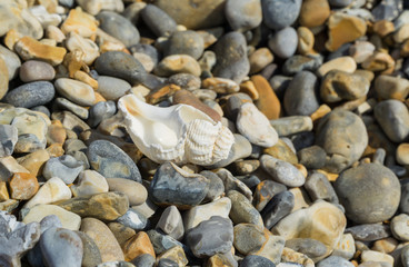 Rocks on the beech in Norfolk