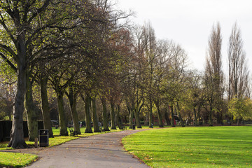 Countryside park
