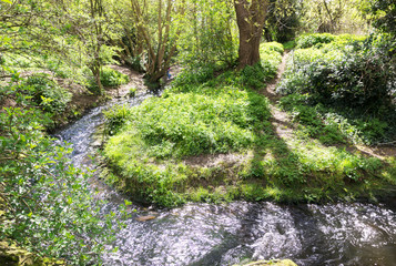 Fototapeta premium Stream running through the countryside