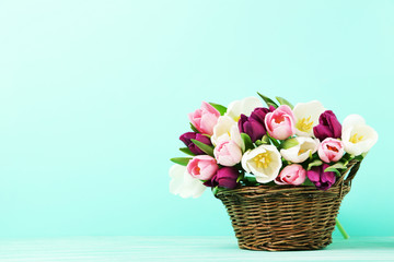 Obraz premium Bouquet of tulips in basket on green background