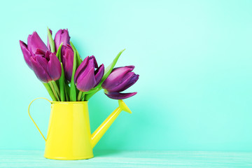Bouquet of tulips in watering can on green background