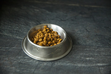 pet's food
