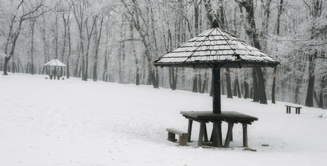 Winter forest bench. Wood landscape. Panorama