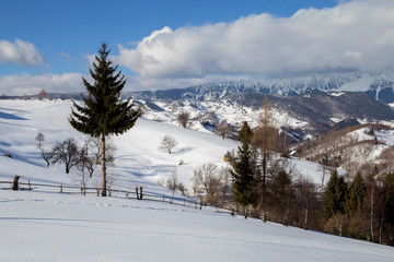 Winter landscape in the Carpathian Mountains