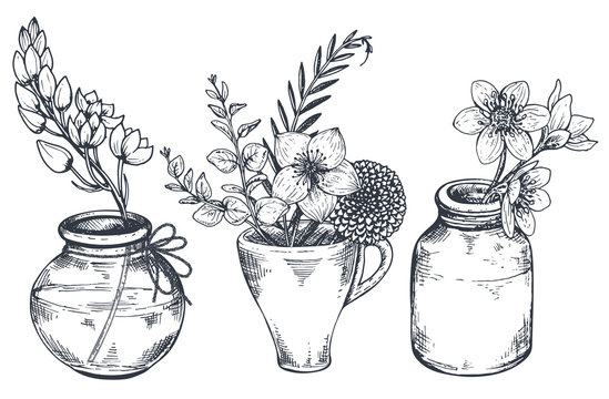 Bouquets with hand drawn flowers and plants in vases jars. Stock Vector |  Adobe Stock