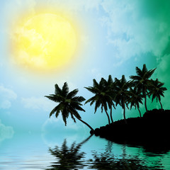 Fototapeta na wymiar Palm trees a on sunset background