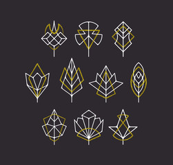 Vector nature leaves and trees' symbols