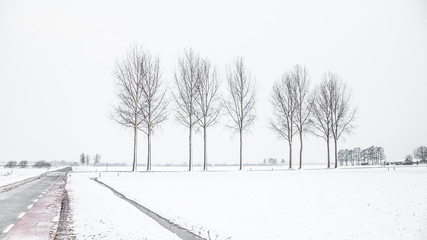 Dutch snow landscape