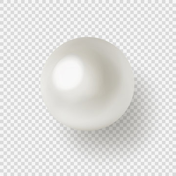 Vector illustration of shiny natural white sea pearl with light effects isolated on transparent background.
