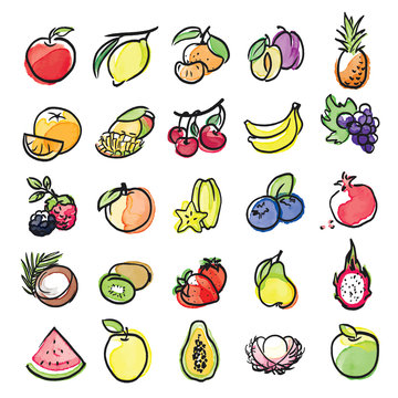 watercolor icons of fruits vector set