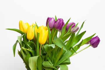 Tulpen