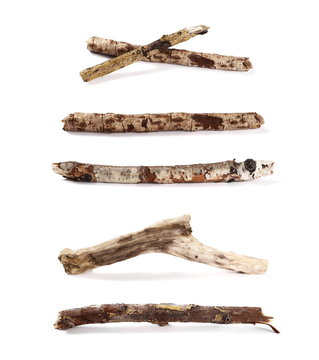 set dry twigs with lichen isolated on white background