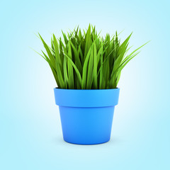 flowerpot with green grass on blue gradient bakground 3d
