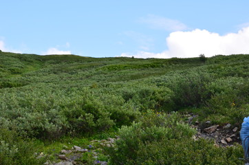 Fototapeta premium Travel to Altay Mountains during the holidays