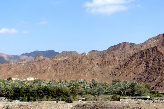 Haja Gebirge, Oase bei Bithnah, Fujairah, Vereinigte Arabische Emirate, Arabische Halbinsel, Naher Osten
