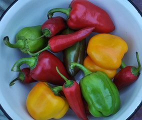 A mixture of different colors and types of sweet fruit and pepper