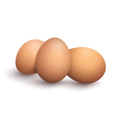 Bunch of brown vector eggs