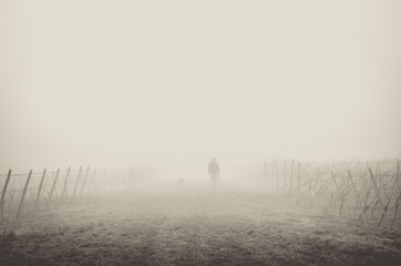 Lonely Man with Dog in the Vineyard