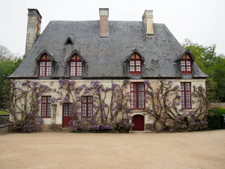 A quaint French house with red doors covered in Wisteria.