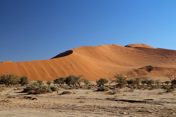 Fototapeta na wymiar Dünen im Sossusvlei Namibia