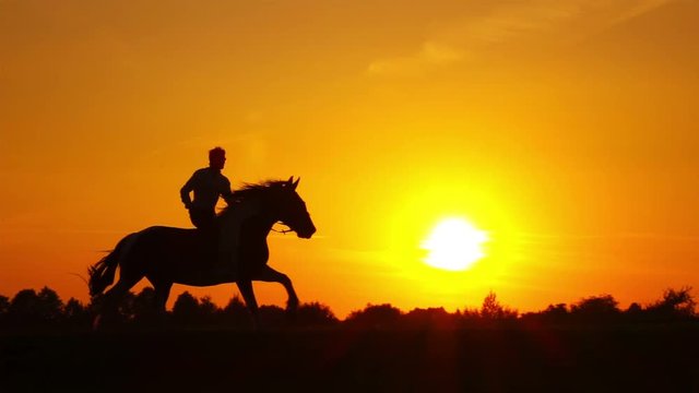 Horseman riding on hourse galloping on sunset in backlight, slow motion.