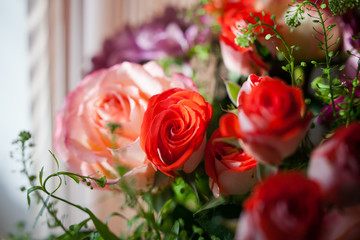 sunny flower 