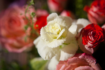 Sunny bouquet 