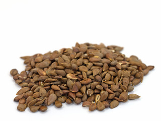 Apfelkerne, Apfelkörner