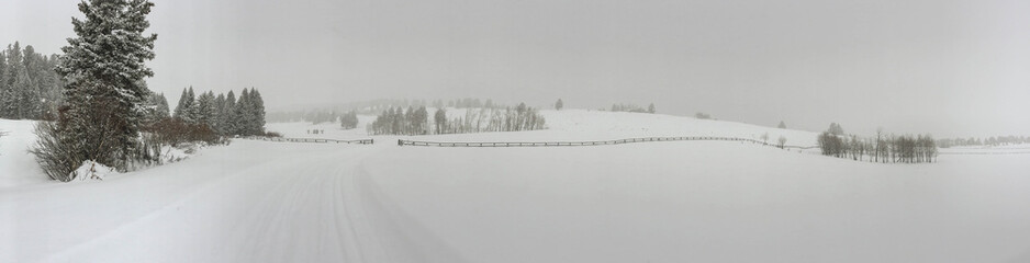 Jackleg Ranch Fence  in the Snow