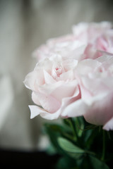 pink bouquet