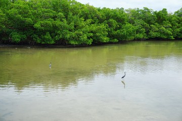 State Park in Florida 